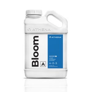 3.78L Athena Bloom A+B