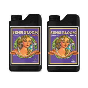 Sensi Bloom
