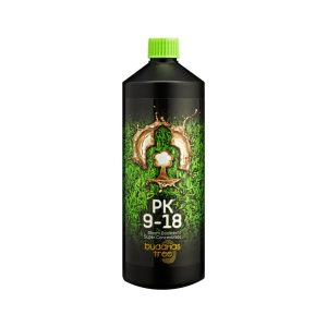 1L Buddhas Tree PK 9-18