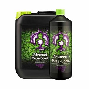 Buddhas Tree Advanced Meta Boost