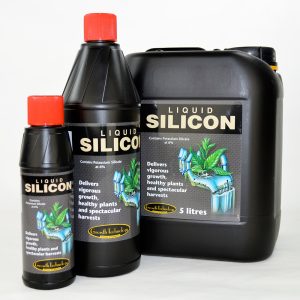 Liquid Silicon