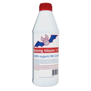 1L Kalong Bloom