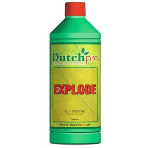 1L Explode