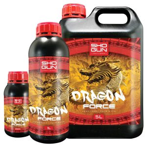 Shogun Dragon Force