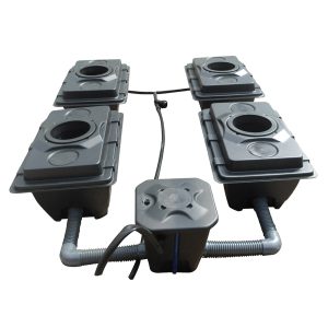 Rush RDWC (60L Pots - 82cm Centres)