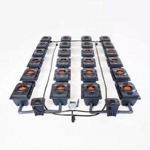Rush RDWC (60L Pots - 100cm Centres)