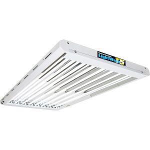 T5 LightWave (4ft-8 tubes)