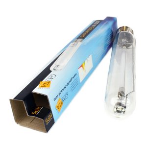 600w Gavita Enhanced Sodium Bulb