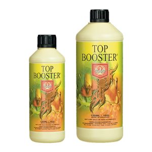 Top Booster