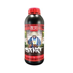 1L Shogun Start