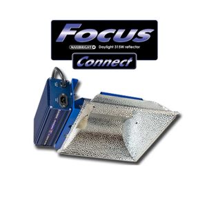 315w CDM Focus iLink Lighting System with Phillips Daylight Lamp