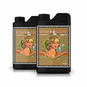 10L Sensi Coco Bloom A + B